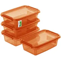 Pafen 4x Aufbewahrungsbox mit Deckel 3L Orange - 24,5 x 16,5 x 10 cm