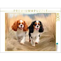 CALVENDO Puzzle, Cavalier King Charles Spaniel – Abenteuer im Dünengras | 1000 Teile, fertige Größe: 64 x 48 cm | Fotopuzzle für entspannte Stunden