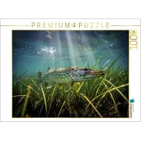 CALVENDO Puzzle, "Natur, ein verborgener Atemzug". | 1000 Teile, fertige Größe: 64 x 48 cm | Fotopuzzle für entspannte Stunden