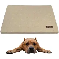 DOTTY Hundematte XL 106x70 cm beige – großes, weiches Hundebett für Auto, Heim & Reisen, pflegeleicht, wasserabweisend & ideal für große Hunde