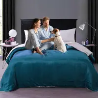 Merkloos Wasserdichte Bettdecke - 200 x 230 cm - Blau