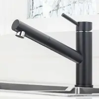 Dripio Küchenarmatur ausziehbar, schwarz, 150° schwenkbar, Einhebelmischer