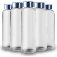 Dripio Glasflaschen 500 ml, transparent, 5 Stück, mit Edelstahldeckel