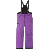 Reima Reimatec Winter Pants, Terrie plum purple (5960) 104 cm