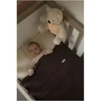 Babys Only Decke für Neugeborene Merino Brushed Meadow ecru - 65x75 cm