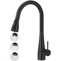 Crea Küchenarmatur 3-fach mit Brause ausziehbar, Spültischarmatur für Wasserfilter, schwarz