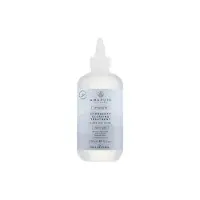 Paul Mitchell Awapuhi Wild Ginger HydraSoft Glossing Treatment intensive Haarkur für gesunden Glanz 236 ml