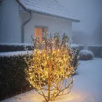 Esotec Solar Lichterkette Outdoor, 60 warmweiße LEDs, Weihnachtsdeko 103504