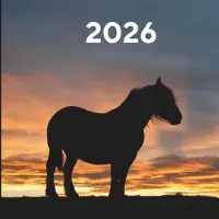 Merkloos Wochenkalender 2026 – Mit Aufgabenlisten und Reflexionsbereich