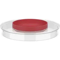 Mepal Chef it Rührschüssel spritzschutzdeckel rührschüssel chef it 3000 ml - coral Ø223 x 37 102308576900