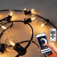 Dripio LED-Lichterkette 61,5 m, 84 Lampen, warmweiß, dimmbar, IP44