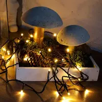 OEM LED-Lichtkette 240 warmweiß, 23,9 m, mit Fernbedienung & Timer, grün