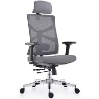 Dripio Ergonomischer Bürostuhl mit 4D-Armlehnen, schwarz-grau