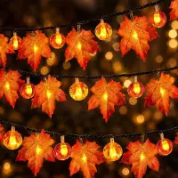 Dripio Herbst-Lichterkette, 3 m, 20 LEDs, Ahornblätter & Kürbisse