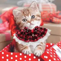Markenlos Weihnachtskragen Set für Katzen - 3 Stück mit Glöckchen, Festliches Rot Grün Schwarz Kariertes Design, Perfekte Weihnachtsdekoration für Haustiere
