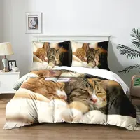 Trankielo - Bettdecke 200x200 cm - Mikrofaser - 3D-Druck mit Katzenmotiv - Inklusive 2 Kissen, 65x65 cm