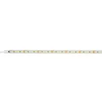 Brumberg 19686004 LED-Flexplatine, IP68, 5 m, 14, 4 W / m, 24 V DC, 4000 K, CRI > 90, CLEAR, Maße:
