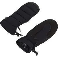 Oakley Apparel B1b Winter Fausthandschuhe