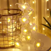Dripio Plumeria-Lichterkette, 1,5 m, 10 LEDs, Frangipani, batteriebetrieben