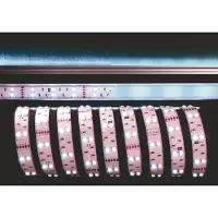 Deko-light 840060 Flexibler LED Stripe 5050-2x30-12V-RGB+6500K-3m , Weiß