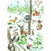 Sonstige Verlage Warum Tiere a. Weihn. freuen (Bergmoser)
