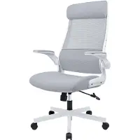 Dripio Ergonomischer Bürostuhl mit Kopfstütze, Mesh, klappbare Armlehnen