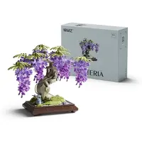 Merkloos Bonsai-Set "Wisteria" zum Selberbauen für Erwachsene