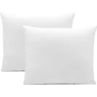 Unyqoos 2er-Set Innenkissen (Mikrofaser) – kochfest & trocknergeeignet, 35 x 40 cm, verschiedene Größen, 100% Polyester Füllung