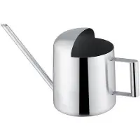 Markenlos Gießkanne 300 ml - Elegantes Design aus Edelstahl - Silber