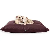Markenlos Hundebett wasserabweisend - mittel - waschbar - braun 60 x 50 cm