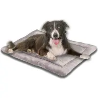 Markenlos Hundekissen M grau 70x50 cm allergiefreundlich waschbar weiche Stoffbezug - Hundematte Hundebett mittelgroße Hunde