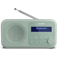 Sharp DR-P420(GN) Tragbares DAB+ Radio mit Bluetooth 5.3, DAB+/FM, USB- oder Bat