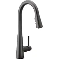 Dripio Küchenarmatur Hochbogen, Pull-Down, mattschwarz, 1-Loch