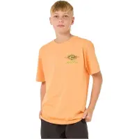 Rip Curl RipCurl RAW Energy Dolphin Tee - BOY mandarin zest (2214) 16
