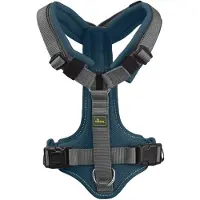 Hunter Geschirr Maldon Up, Hund, Halftergeschirr, L, Grau, Türkis, Netz, Polyester, 3,8 cm