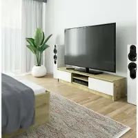 RAUMHIRSCH FURNITURE TV-Lowboard 160cm Fernsehtisch 2 Türen 2 offene Fächer TV-Schrank 33cm hoch CLP