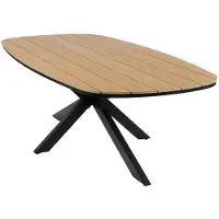 4 Jahreszeiten Gartenmöbel Ovaler Gartentisch Cadiz | 240 x 115 cm | Tecon Teak | Schwarz
