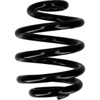 CS Germany Fahrwerksfeder 30110447 Hinterachse für SEAT