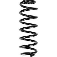 CS Germany Fahrwerksfeder 30110393 Hinterachse