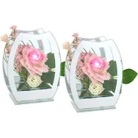 Otto Home Kunstblume "Rose mit LED-Beleuchtung im Glas" im 2er Set 11x15cm oder einzeln 15x18cm, in weiß oder rose/pink