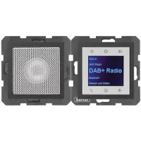 Berker 29801606 Radio mit Lautspr. DAB+ B.x ant. matt