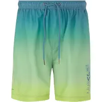 Jan Vanderstorm Badeshorts "Badeshorts WERENFRIED", Herren, Gr. 3XL, weit, grün, Obermaterial: 100% Polyester COOLMAX PES(Coolmax)., Badehosen Badeshorts
