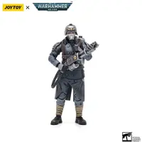 Joy toy Warhammer 40k 1/18 Death Korps Of Krieg Veteran Squad Guardsman With Flamer Figur