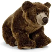 OEM Kuscheltier Brauner Bär, 45 cm, realistisch, mit Fakten-Tag