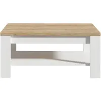 Forte Couchtisch "Bohol", braun (riviera eiche, sibiu lärche hell, sibiu lärche hell, riviera eiche), B:100cm H:45,7cm T:60cm, Tische, Couchtisch, B/H/T 100/45,7/60 cm zweifarbiges Dekor