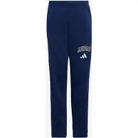 Adidas - Kid's Seasonals Collegiate Typography Pants - Trainingshose Gr 128 blau