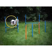 Merkloos Agility-Set für Hunde – Training mit Hindernissen und Sprungparcours