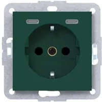 Hager WAS4055C07 Steckdose SCHUKO mit USB Typ C 2fach PD, 20W, A.x/C.x jade halbglänzend