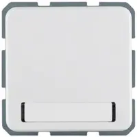 Hager WWS1114PW Steckdose SCHUKO mit Klappd. u. Beschriftungsfeld WG Up IP44, polarweiß glänzend