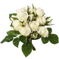 Creativ Green Kunstblumenstrauß "Rosenbouquet", beige (creme), H:29cm Ø:18cm, Obermaterial: 80% Polyester, 20% Kunststoff, Kunstpflanzen, Kunstblumenstrauß